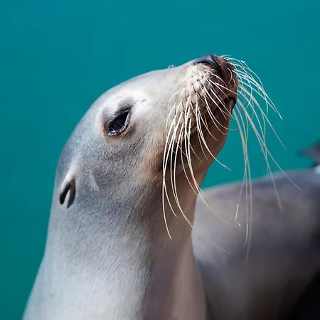 Petit Nid Douillet Au 2eme Etage Costa De Antigua