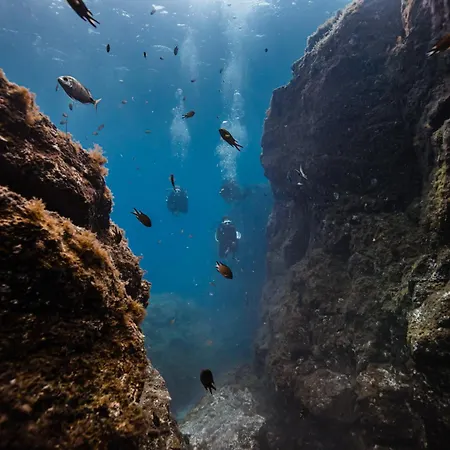 Lejlighed Petit Nid Douillet Au 2eme Etage
