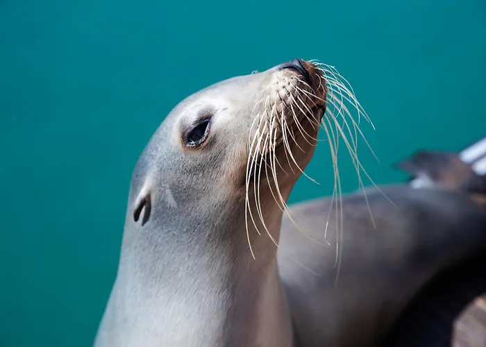 Petit Nid Douillet Au 2eme Etage Costa De Antigua