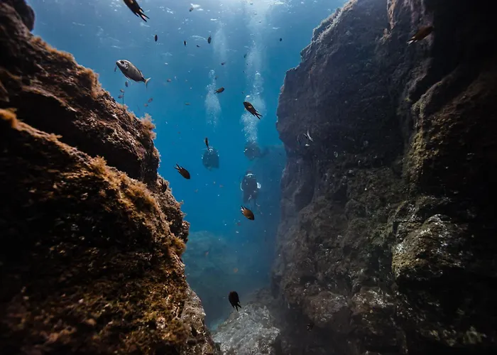 Apartamento Petit Nid Douillet Au 2eme Etage
